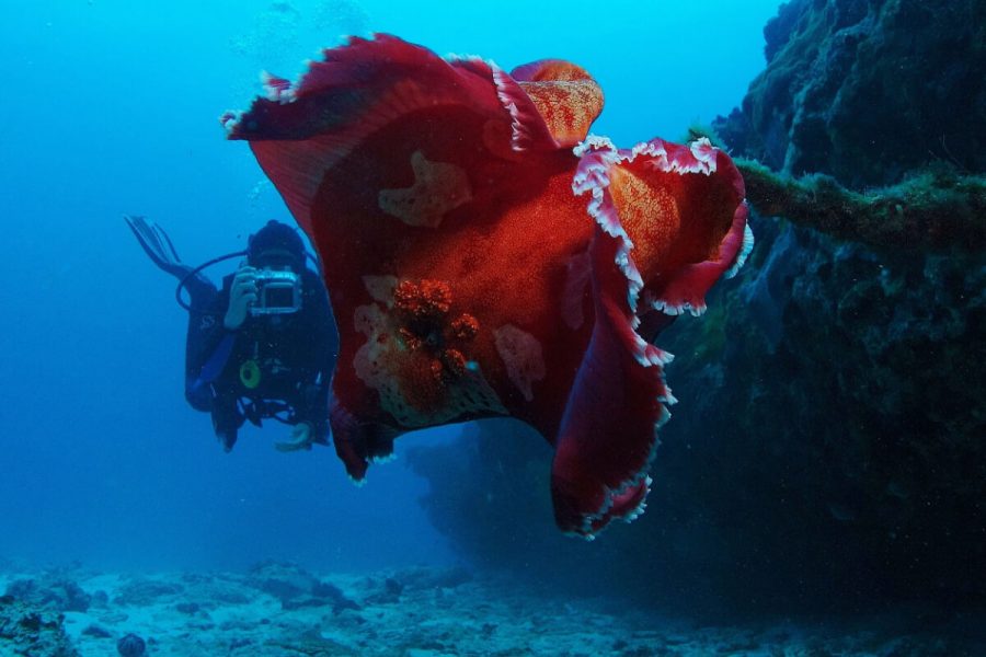Paramount Ranch Guided Horseback Tour